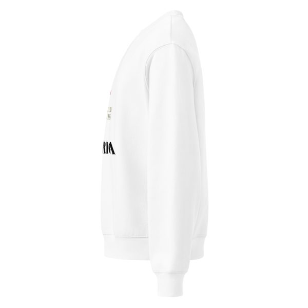 Oversized heavyweight sweatshirt - Image 3